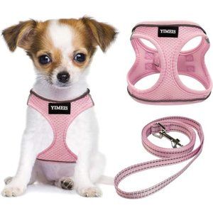 Dog Harness and Leash Set